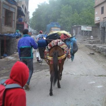 A local village near to our Kasbah