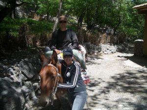 Surviving the mule trek