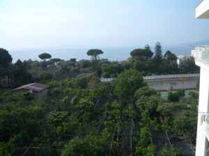 View from our balcony over lemon grove to Bay