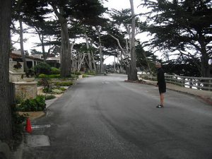 Pretty Carmel beach front.