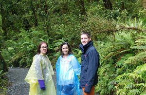 Nice Ponchos