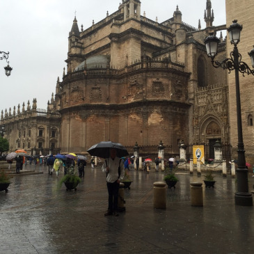 First Full Day in Seville: 3 tours in 1 day!