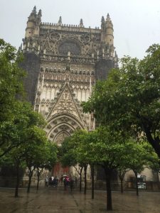 Cathedral behind orange grove.