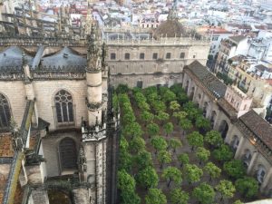 View from trip up to Giralda Tower.