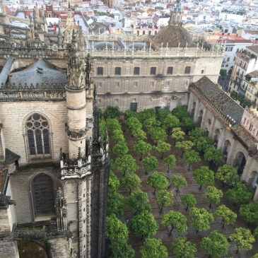 Seville Cathedral Day.