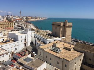 View from Cathedral Bell Tower.