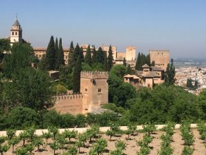 Looking out over Alcazaba, fortress of Alhambra.