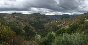 Douro Valley views