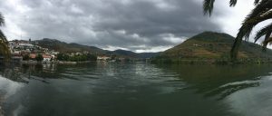 View from lunch stop at Pinhao.