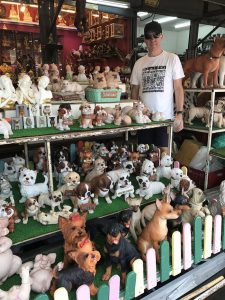 The weird & the wonderful at Chatuchak Markets