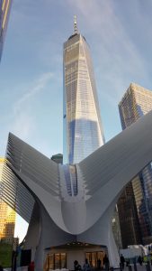 The Oculus and Freedom tower