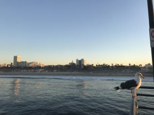 Santa Monica Beach