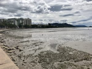 Low tide and there were lots of crabs.