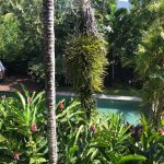 View from balcony to Pool area.