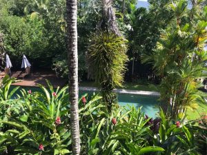 View from balcony to Pool area.