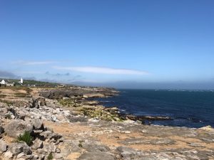 Coastline near Portland Bill.