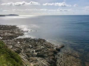 Part of our coast walk view.