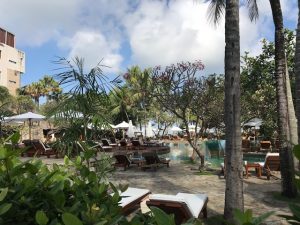 Breakfast view never fails to please.