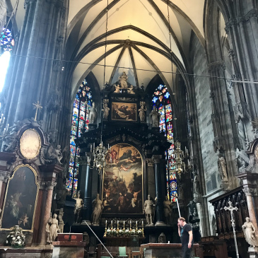 St Stephan’s Cathedral & Hitler tour day.